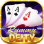 rummy perfect apk download
