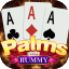 old rummy app icon